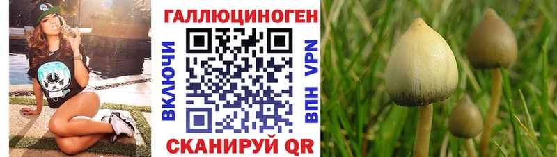 Купить где  Заволжье  Галлюциногенные грибы MAGIC MUSHROOMS 